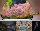 滋賀の桃源郷 MIHO MUSEUMの世界