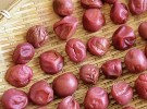 こども うめぼし作り体験